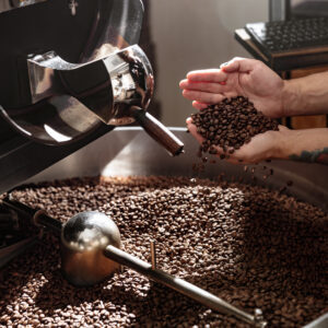 Close up of man roaster with brown coffee beans in his hands standing by cooling tray of industrial coffee machine